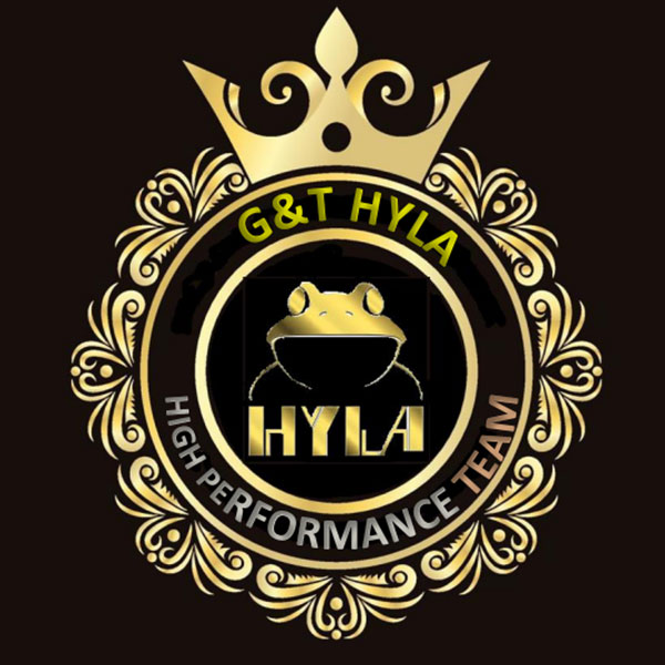 Logo Geigges & Theissing Vertriebspartner Hyla Germany