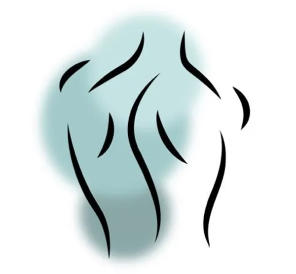 Logo Sylvia Mahn Physiotherapie