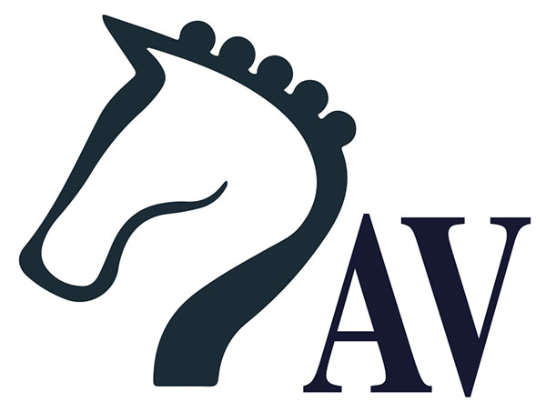 Logo Ars Vivendi Tief-, Kabel- und Anlagenbau GmbH